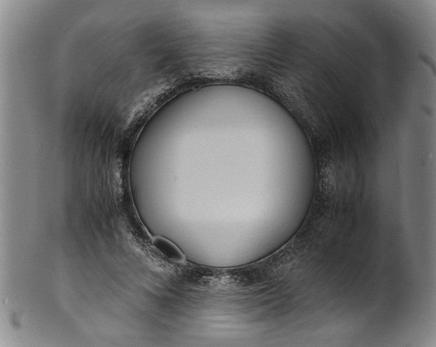 X0000101480688200807211359