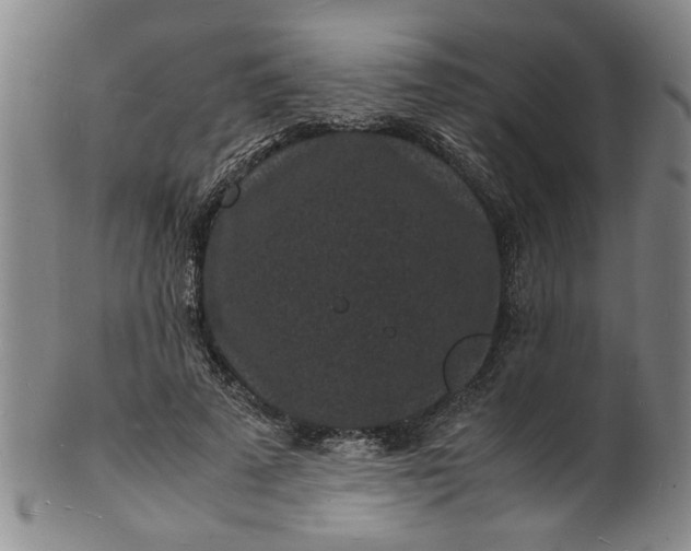 X0000101480689200807211359