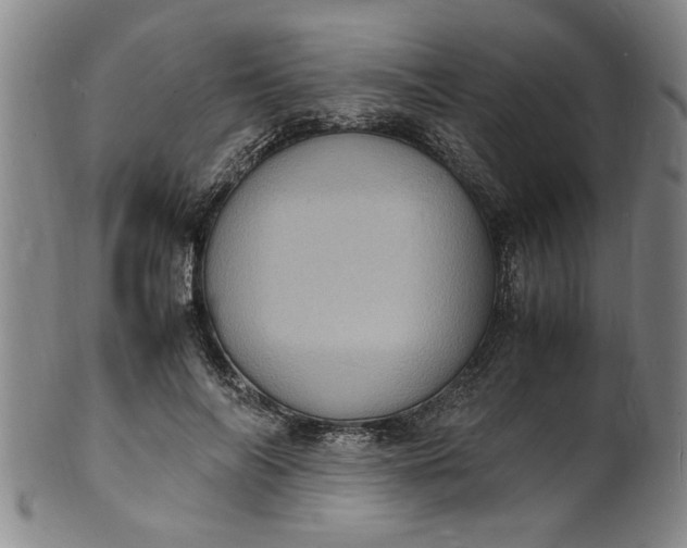 X0000101480694200807211359