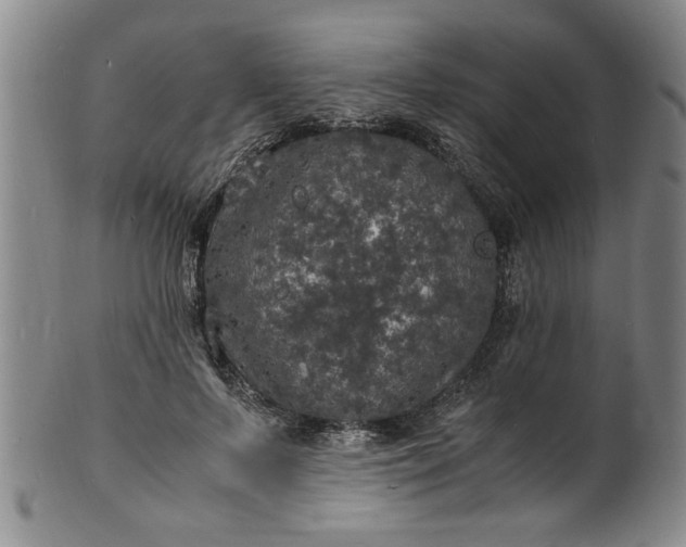 X0000101480695200807211359