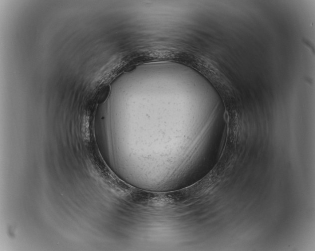 X0000101480696200807211359