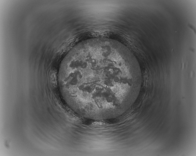 X0000101480699200807211359