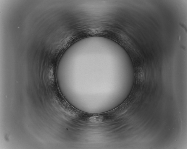 X0000101480700200807211359