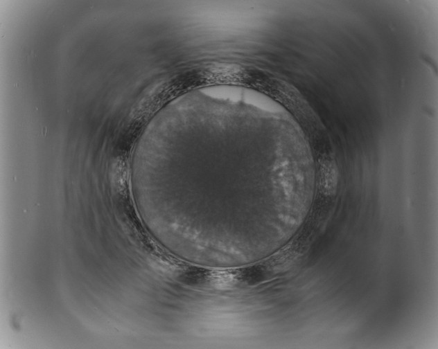 X0000101480701200807211359