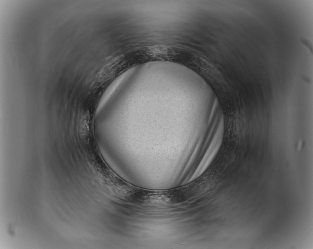 X0000101480702200807211359