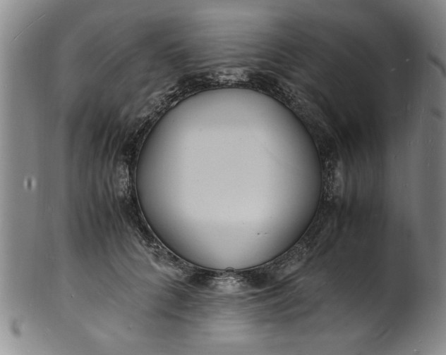 X0000101480704200807211359