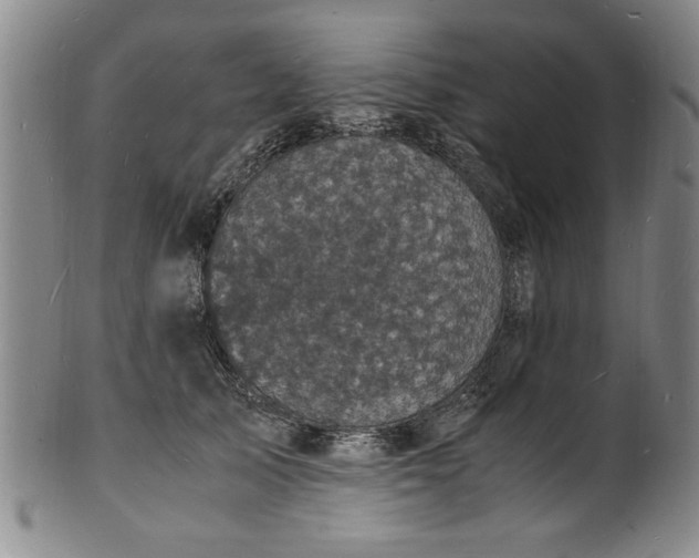 X0000101480705200807211359