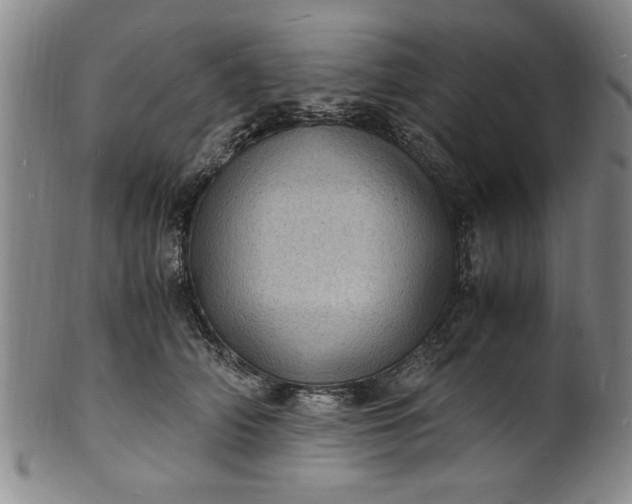 X0000101480706200807211359