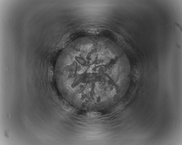 X0000101480707200807211359