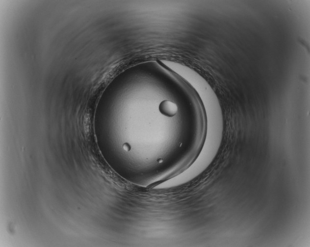 X0000101480708200807211359