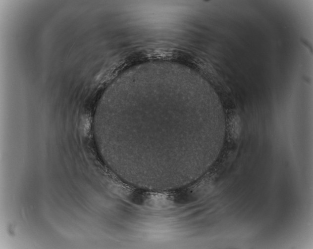 X0000101480709200807211359