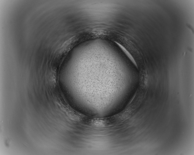 X0000101480710200807211359