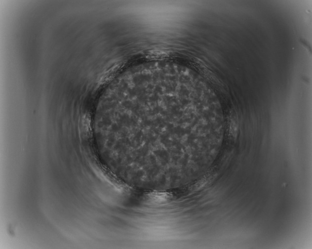 X0000101480711200807211359