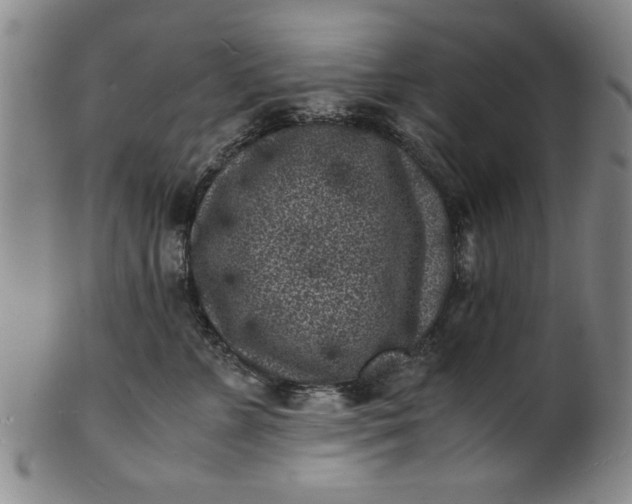 X0000101480715200807211359