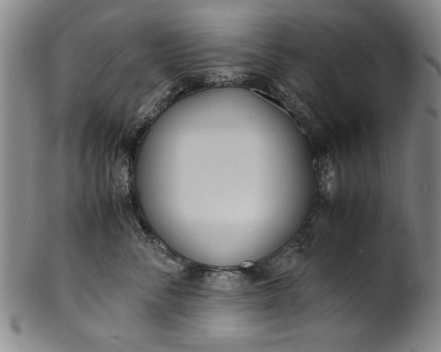 X0000101480716200807211359