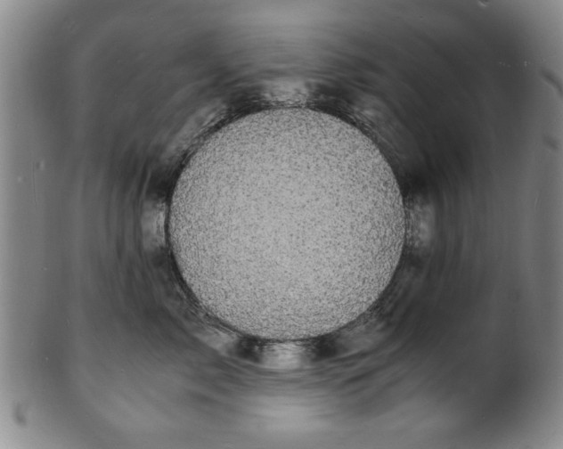 X0000101480717200807211359