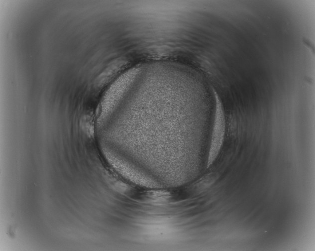 X0000101480719200807211359