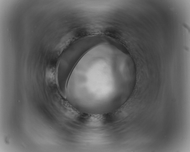 X0000101480720200807211359