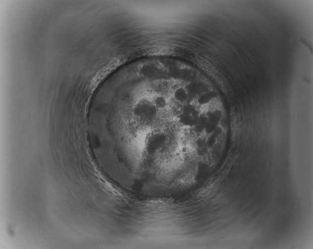 X0000101480721200807211358