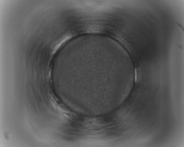 X0000101480723200807211358