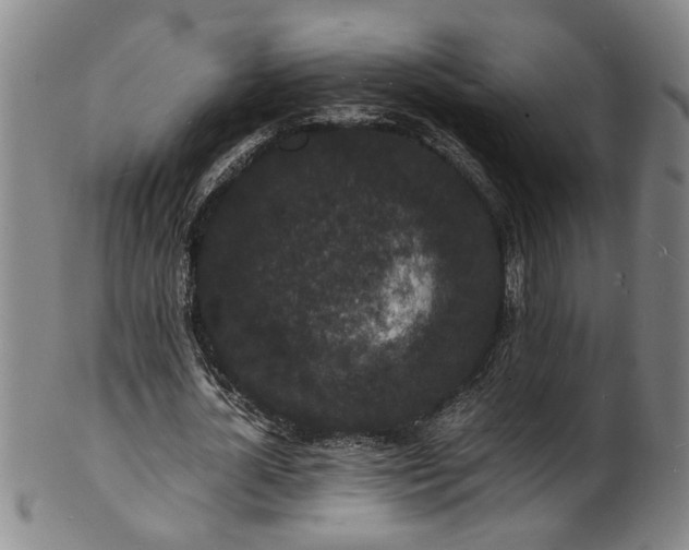 X0000101480724200807211358