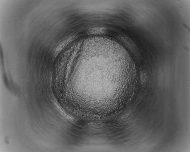 X0000101480725200807211358