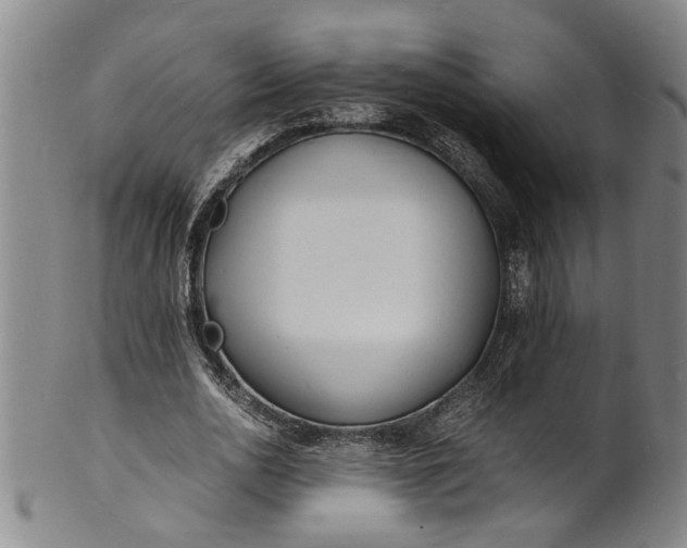 X0000101480726200807211358