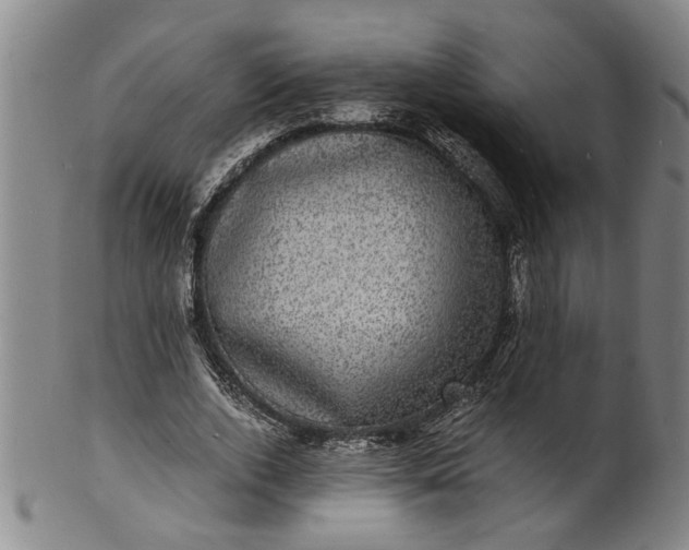 X0000101480728200807211358