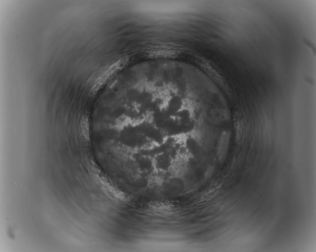 X0000101480729200807211358