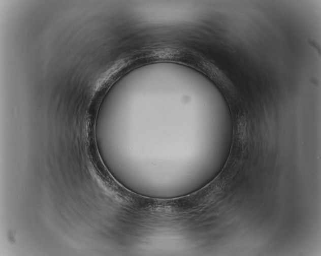 X0000101480730200807211358