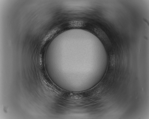 X0000101480731200807211358