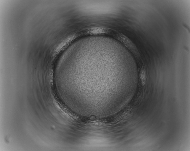 X0000101480732200807211358