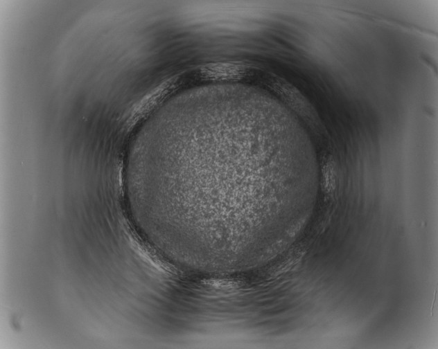 X0000101480733200807211358