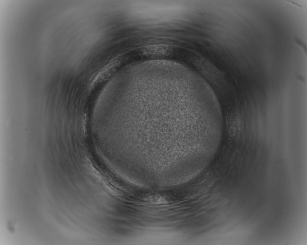 X0000101480735200807211358