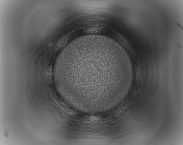 X0000101480737200807211358