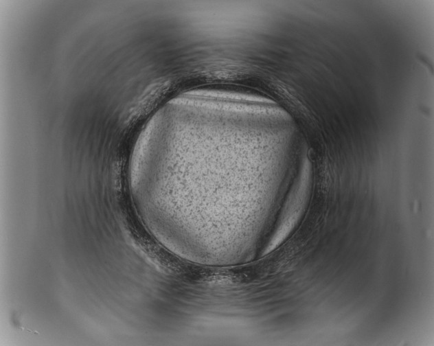 X0000101480738200807211358