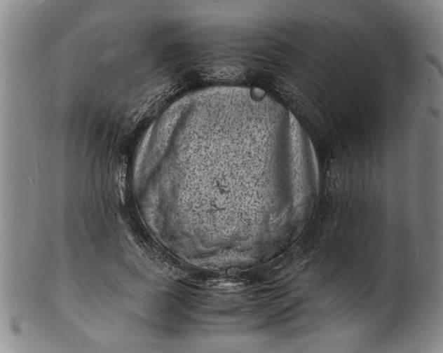 X0000101480739200807211358