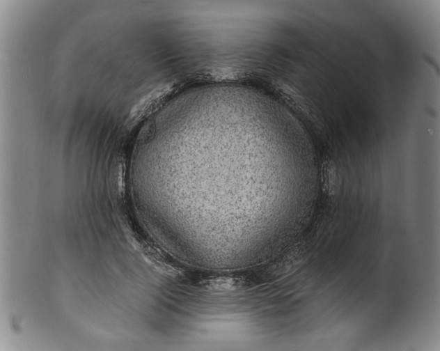 X0000101480740200807211358