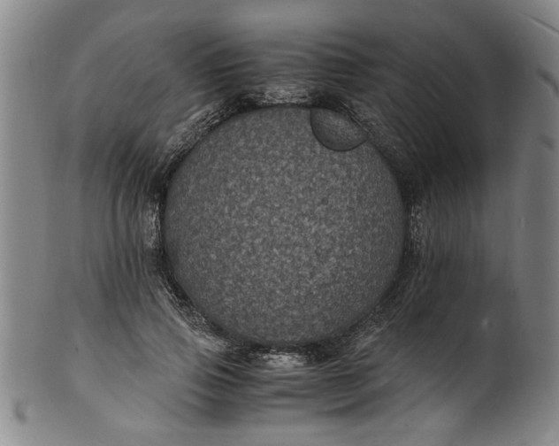 X0000101480741200807211358