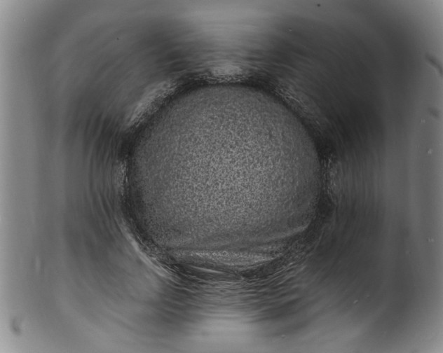 X0000101480742200807211358