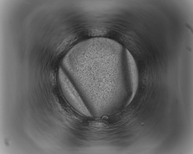 X0000101480743200807211358