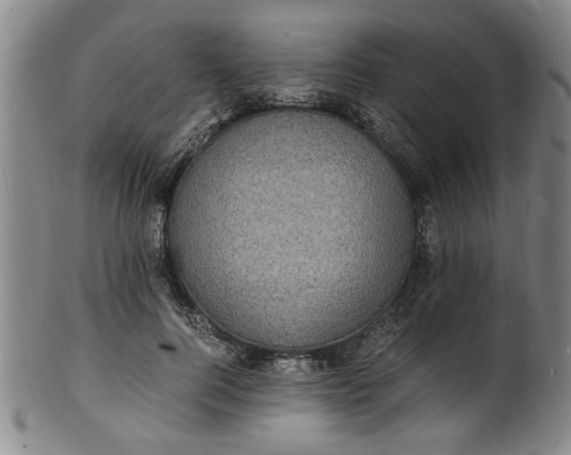 X0000101480744200807211358