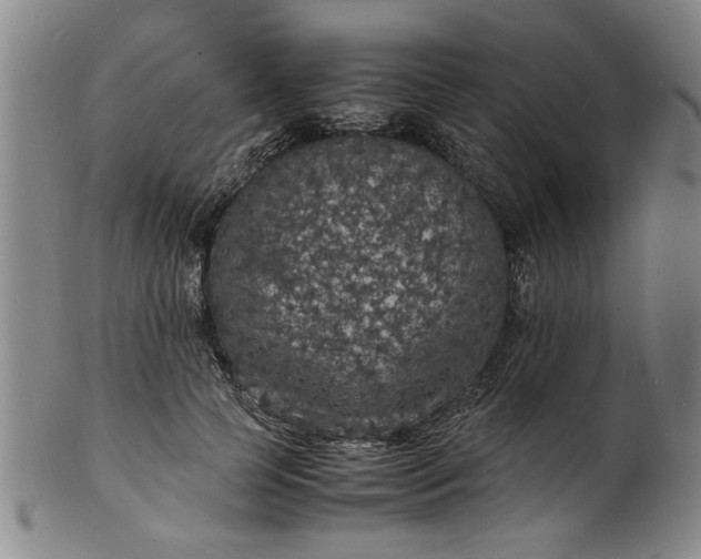 X0000101480745200807211358