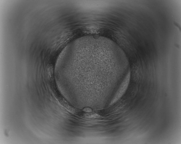 X0000101480747200807211358