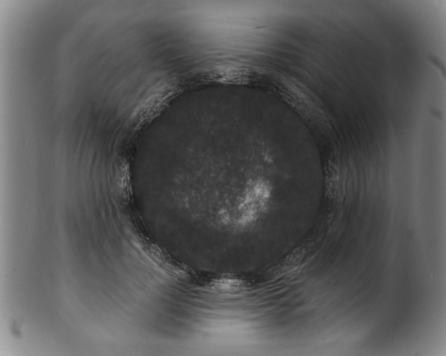 X0000101480748200807211358