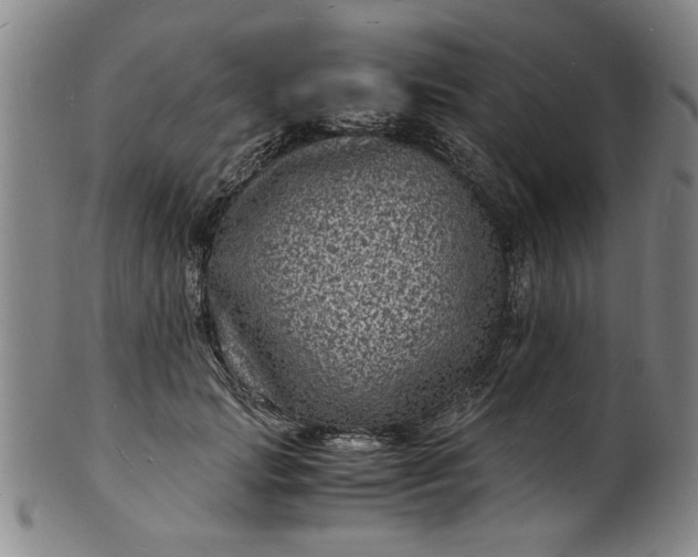 X0000101480749200807211358