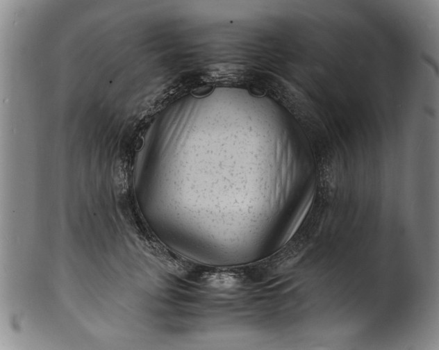 X0000101480751200807211358