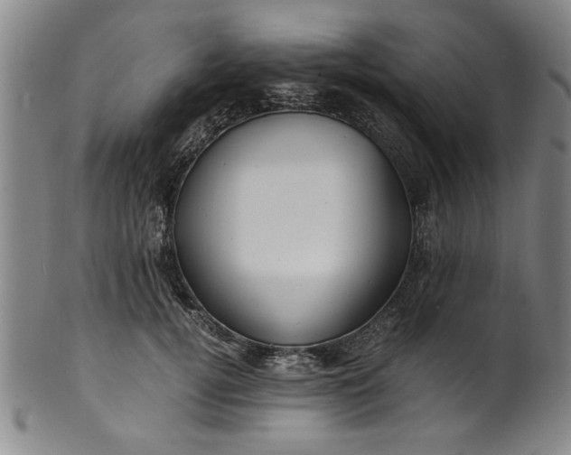 X0000101480752200807211359