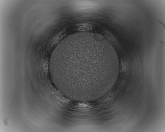 X0000101480753200807211359