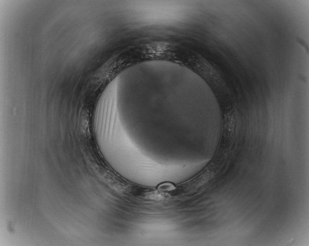 X0000101480754200807211359